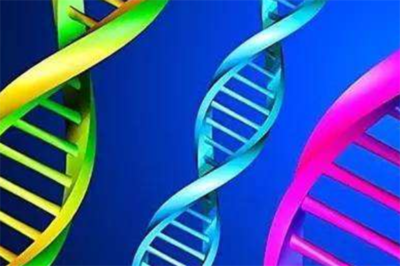 中科基因 生物工程技術開發的領航者