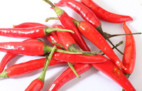 植物提取物技術新里程 長沙華康生物技術開發的蘋果提取物與生物工程技術創新