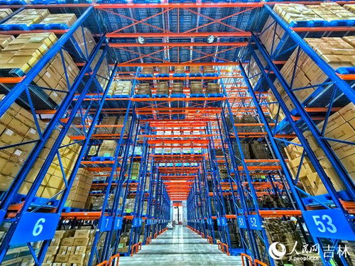 科技賦能，吉林人參“變身記” 生物工程技術(shù)開啟產(chǎn)業(yè)新篇章