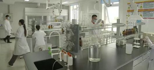 科技引領(lǐng)發(fā)展，服務(wù)鑄就品牌——山東和美華農(nóng)牧科技以生物工程技術(shù)驅(qū)動(dòng)質(zhì)量提升