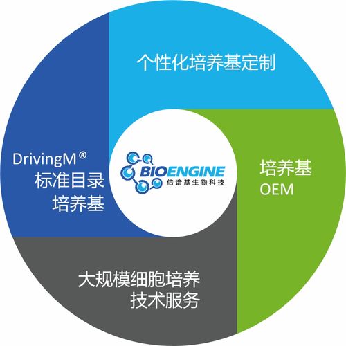 三十年匠心打造細胞培養(yǎng)新動力 寫意會員倍諳基生物的生物基材料技術(shù)研發(fā)